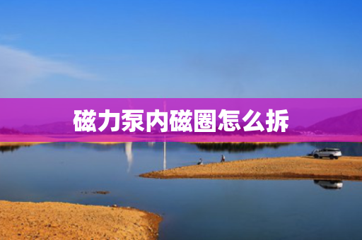 磁力泵内磁圈怎么拆
