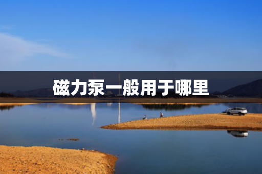 磁力泵一般用于哪里