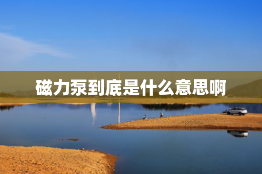 磁力泵到底是什么意思啊