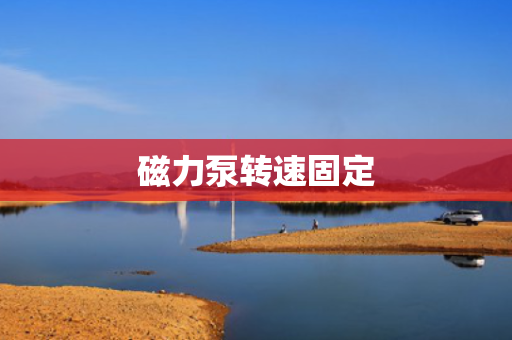 磁力泵转速固定