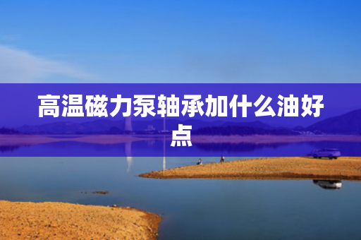 高温磁力泵轴承加什么油好点