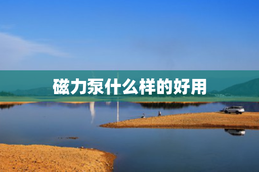 磁力泵什么样的好用