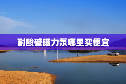 耐酸碱磁力泵哪里买便宜