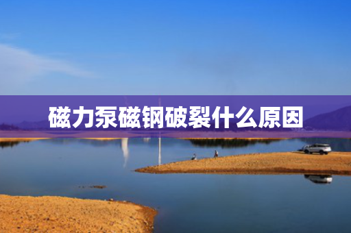 磁力泵磁钢破裂什么原因