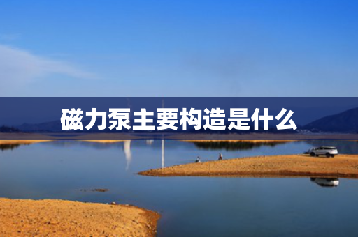 磁力泵主要构造是什么