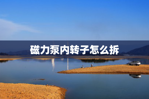 磁力泵内转子怎么拆