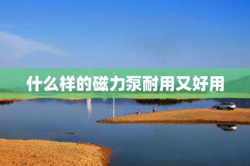 什么样的磁力泵耐用又好用