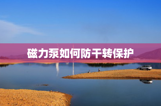磁力泵如何防干转保护