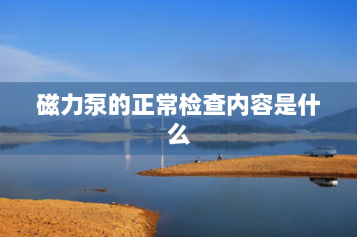 磁力泵的正常检查内容是什么