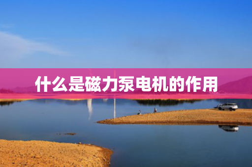 什么是磁力泵电机的作用