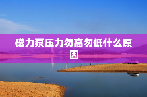 磁力泵压力勿高勿低什么原因