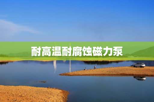 耐高温耐腐蚀磁力泵