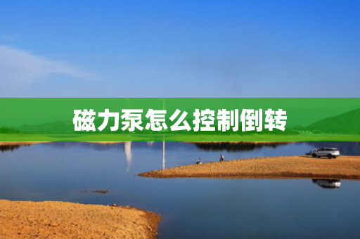磁力泵怎么控制倒转