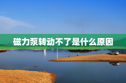 磁力泵转动不了是什么原因