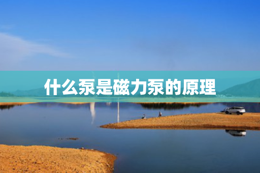 什么泵是磁力泵的原理