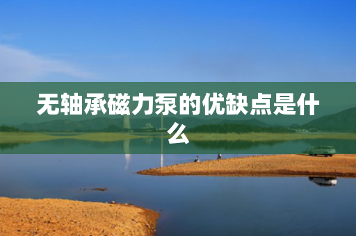 无轴承磁力泵的优缺点是什么