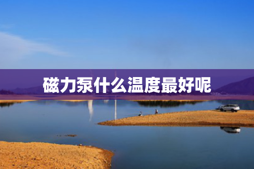 磁力泵什么温度最好呢