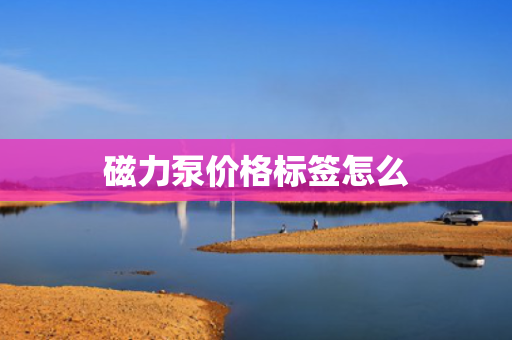 磁力泵价格标签怎么