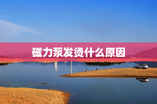 磁力泵发烫什么原因