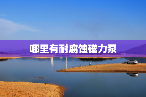 哪里有耐腐蚀磁力泵