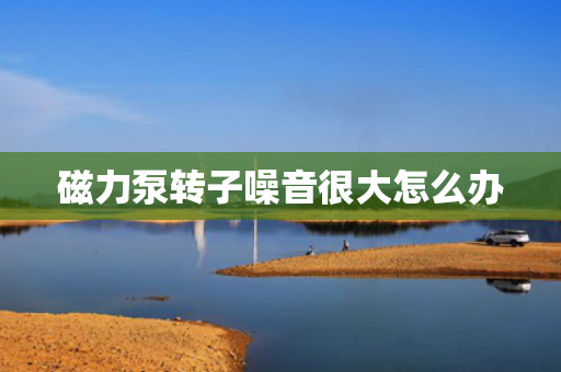 磁力泵转子噪音很大怎么办