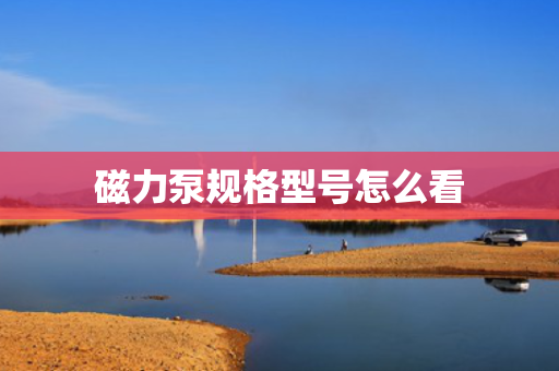 磁力泵规格型号怎么看