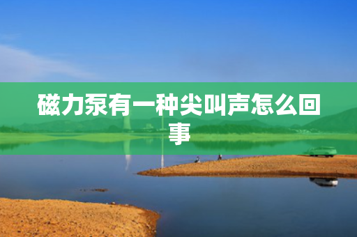 磁力泵有一种尖叫声怎么回事
