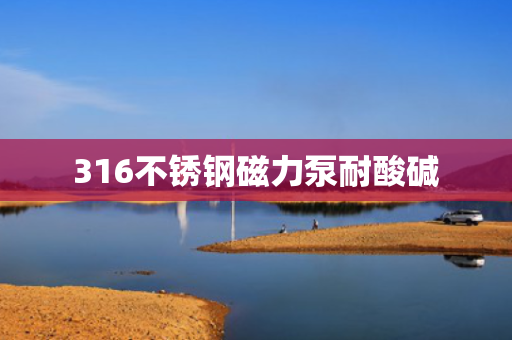 316不锈钢磁力泵耐酸碱