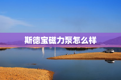 斯德宝磁力泵怎么样
