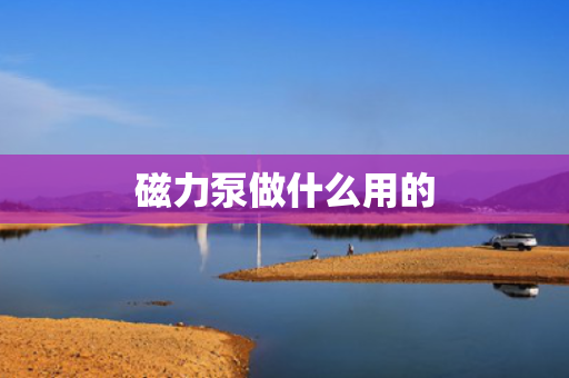 磁力泵做什么用的