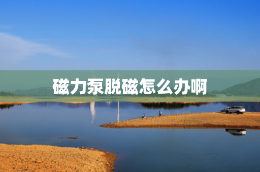磁力泵脱磁怎么办啊