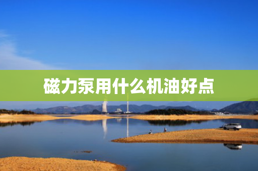 磁力泵用什么机油好点