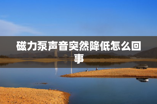 磁力泵声音突然降低怎么回事