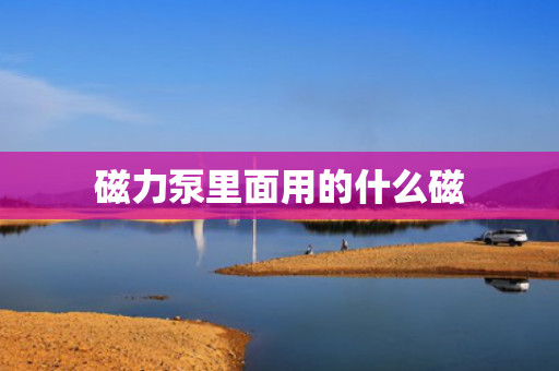 磁力泵里面用的什么磁