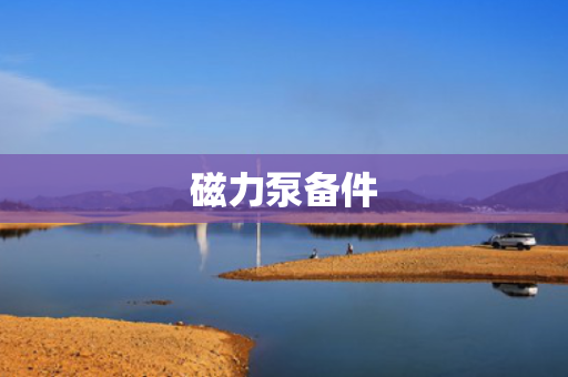 磁力泵备件