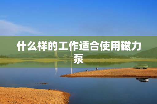 什么样的工作适合使用磁力泵