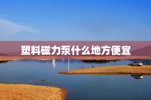 塑料磁力泵什么地方便宜