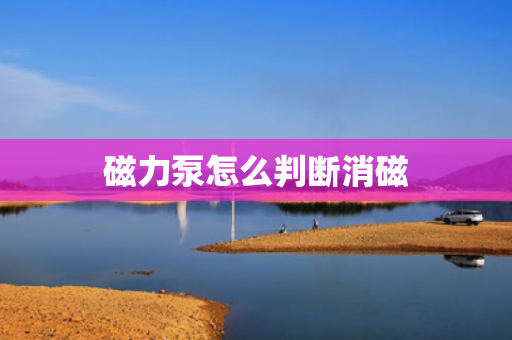 磁力泵怎么判断消磁