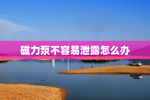 磁力泵不容易泄露怎么办