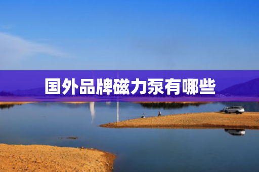 国外品牌磁力泵有哪些