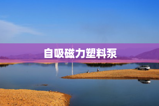 自吸磁力塑料泵