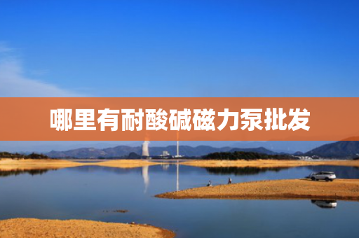 哪里有耐酸碱磁力泵批发