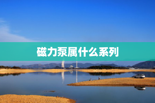 磁力泵属什么系列