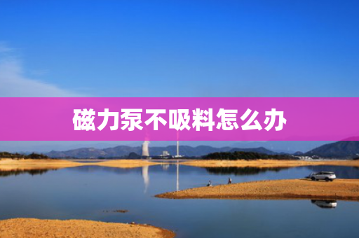 磁力泵不吸料怎么办