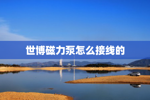 世博磁力泵怎么接线的