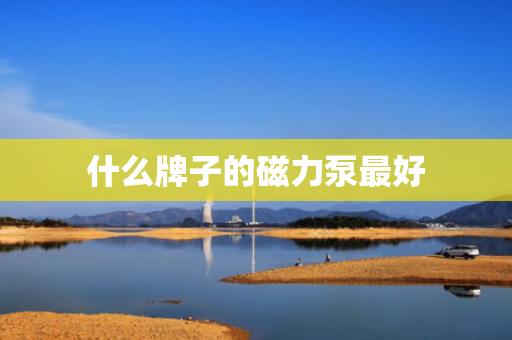 什么牌子的磁力泵最好