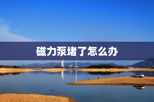 磁力泵堵了怎么办