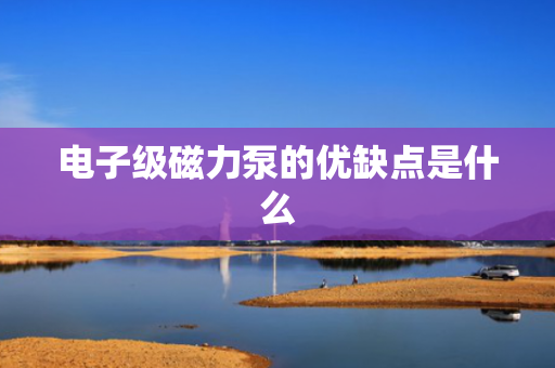 电子级磁力泵的优缺点是什么