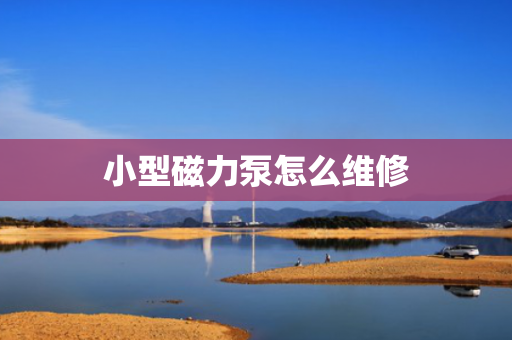 小型磁力泵怎么维修