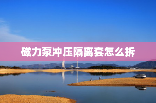 磁力泵冲压隔离套怎么拆
